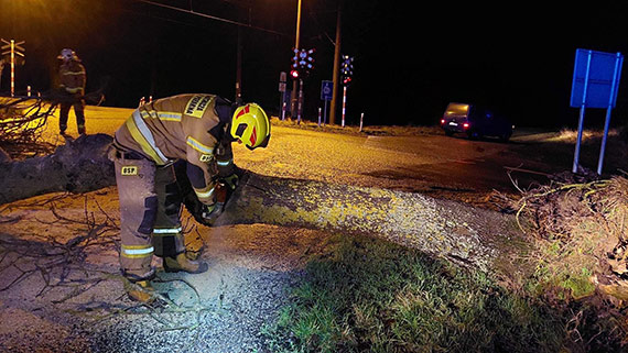 Straacy z Koczewa usunli powalone drzewo