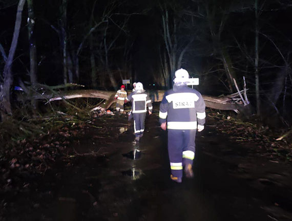 Straacy z Jarszewa usuwali powalone drzewo, a ich koledzy z Koczewa pomagali pogotowiu