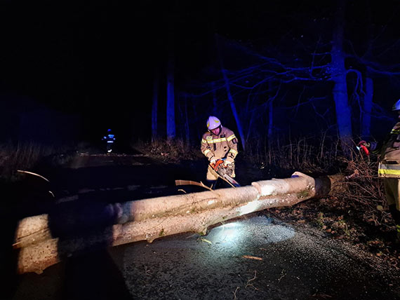 Strażacy usuwają kolejne powalone drzewa
