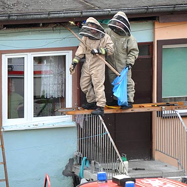 Wolin: Strażacy usunęli niechcianych lokatorów