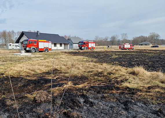 Pożar traw w gminie Świerzno. W akcji gaśniczej wzięły udział 3 wozy strażackie