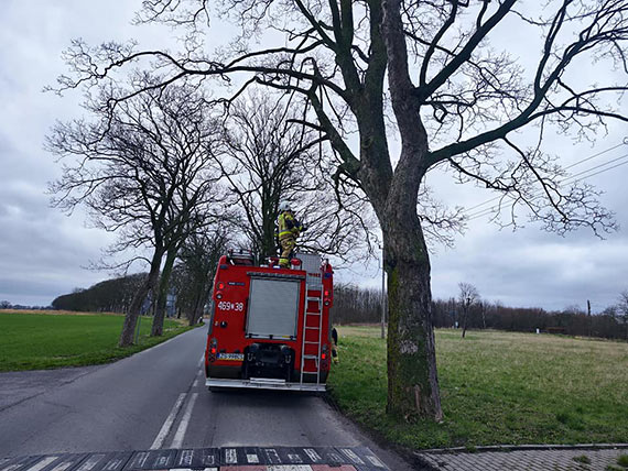 Wiatr hula w powiecie kamieskim. Straacy maj sporo pracy