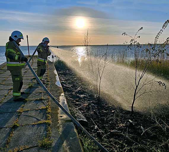 Poar trzciny przy Marinie w Wapnicy: konsekwencje nieodpowiedzialnego postpowania