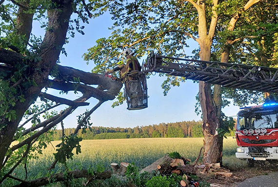 Osp Koczewo, alarm na powalone drzewo