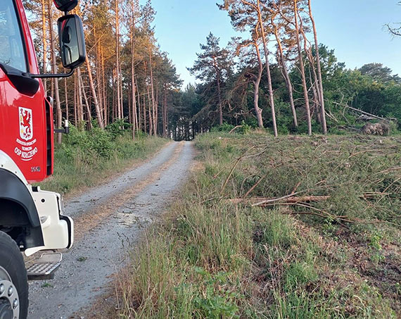 Osp Koczewo, alarm na powalone drzewo