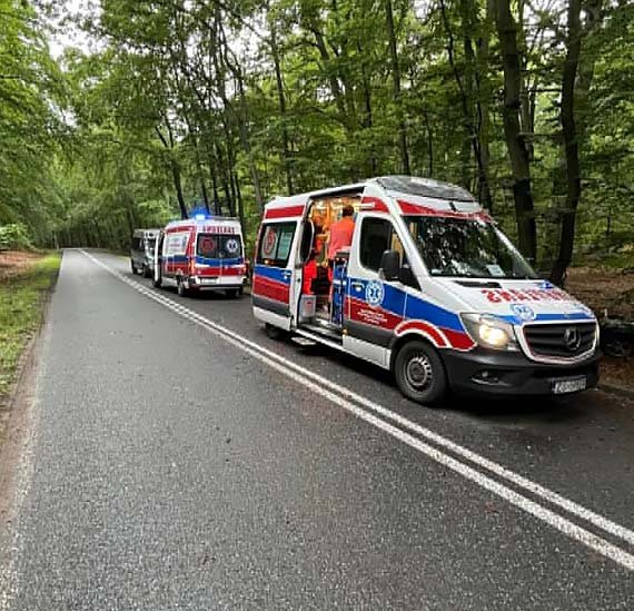 Wypadek drogowy na drodze wojewdzkiej 102 pomidzy Wisek a Midzyzdrojami: Mazda cabrio wypada z jezdni i uderzya w drzewo - kierowc zabrano do szpitala