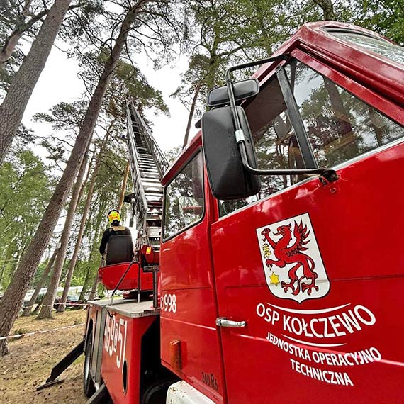 OSP Koczewo - konar, ktry zagraa bezpieczestwu turystw