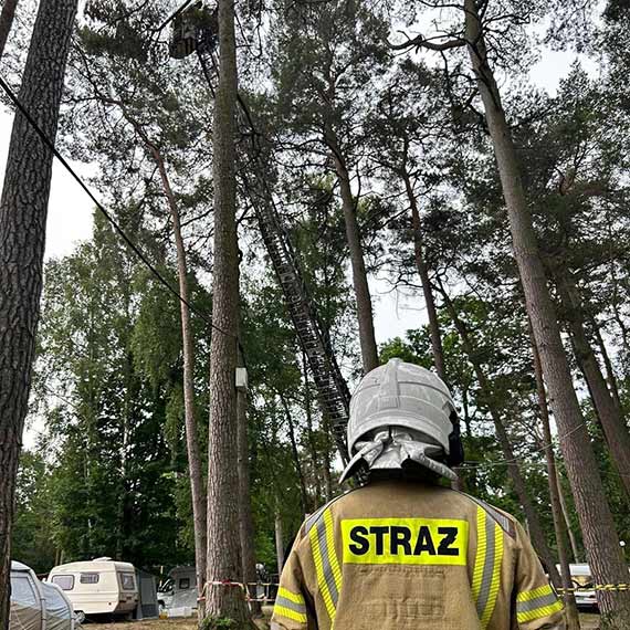 OSP Koczewo - konar, ktry zagraa bezpieczestwu turystw