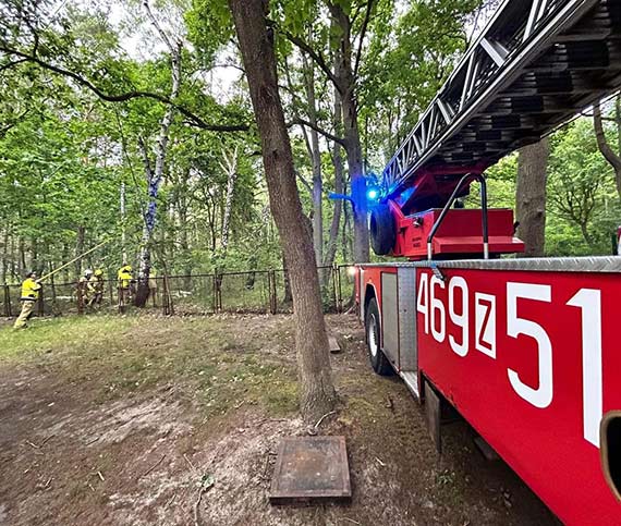 Straacy z Koczewa usunli drzewa zagraajce campingom