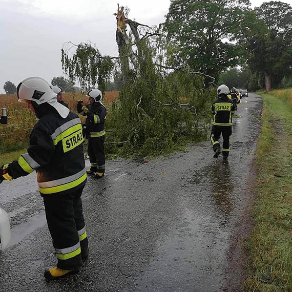 Gdy przyroda tworzy przeszkody: OSP Jarszewo w akcji