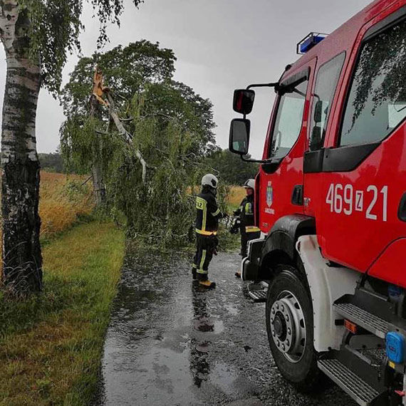 Gdy przyroda tworzy przeszkody: OSP Jarszewo w akcji