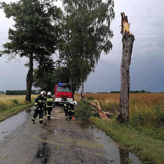 Gdy przyroda tworzy przeszkody: OSP Jarszewo w akcji