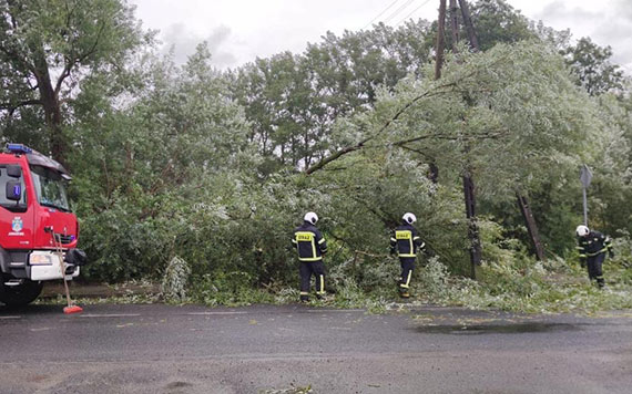 Wiatr przechyli drzewo - byo niebezpiecznie