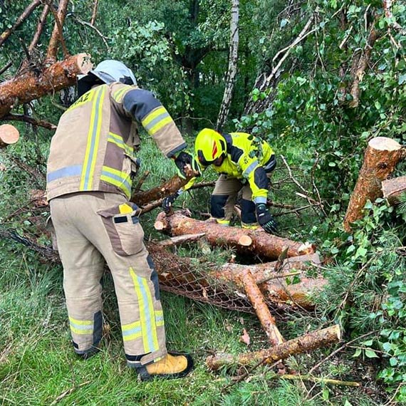 OSP Koczewo: heroiczne interwencje do drzew po silnym wietrze