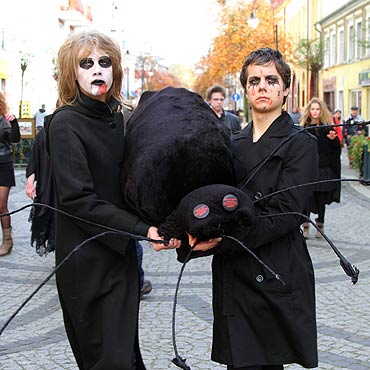 Zombie wyszy na ulice miasta