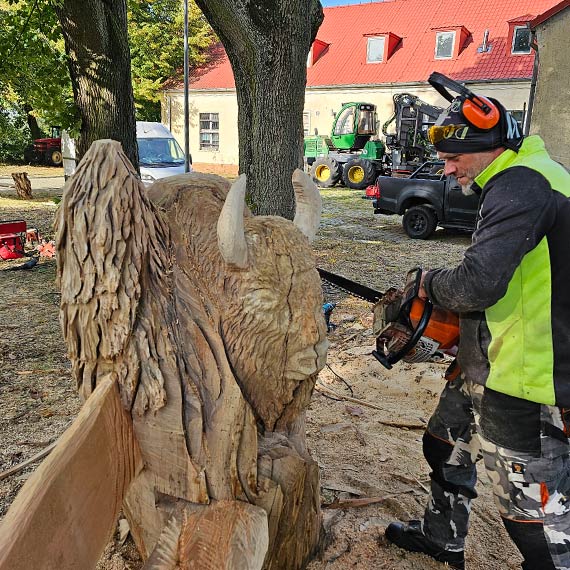 Woliski Park Narodowy prezentuje: „Z drewna wyczarowane, czyli trzecie ycie drzewa”. Zobacz film!