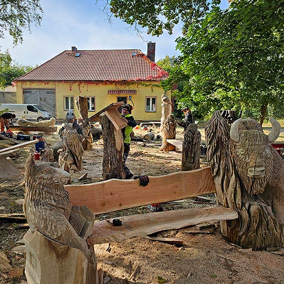 Woliski Park Narodowy prezentuje: „Z drewna wyczarowane, czyli trzecie ycie drzewa”. Zobacz film!