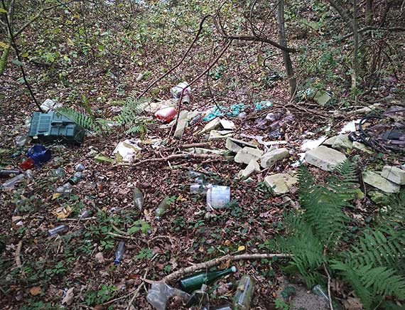 Dzikie wysypisko w lesie na terenie Krzepocina