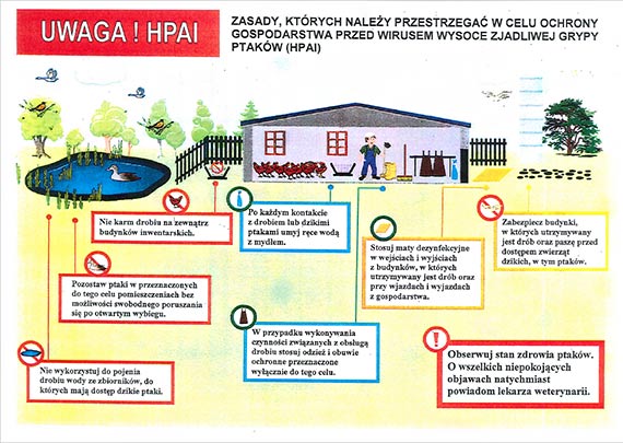 Powiatowy Inspektorat Weterynarii w Kamieniu Pomorskim poinformowa o stwierdzeniu ogniska ptasiej grypy w gminie Poty (powiat gryficki)