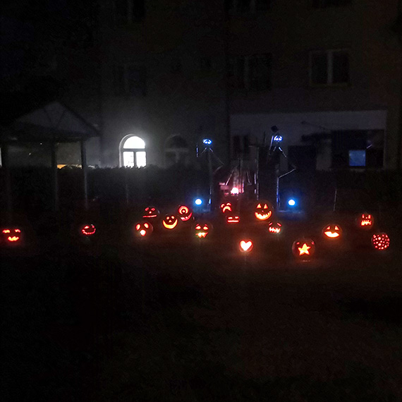 Halloween w Wisece: Niesamowite dynie u Ziomka!