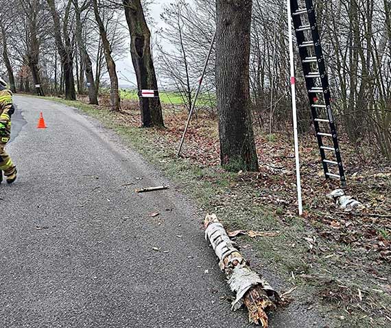 Konar, zwisajcy nad drog, zagraa bezpieczestwu