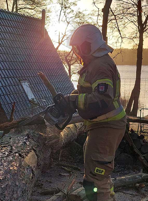 OSP Koczewo interweniuje przy przewrconym drzewie w winie