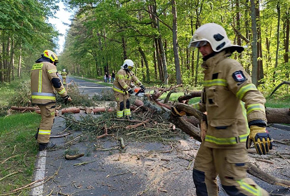 Straacy z OSP Koczewo usunli dwa drzewa
