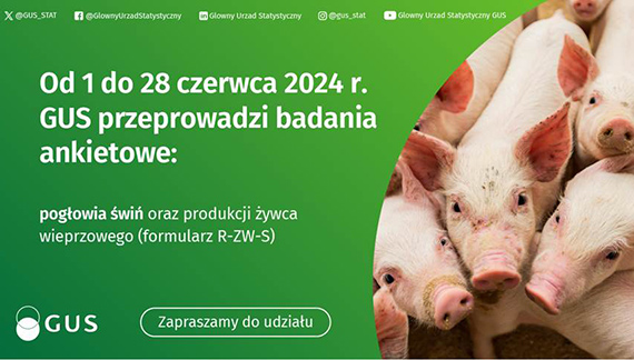 Badanie pogowia wi oraz produkcji ywca wieprzowego (R-ZW-S)