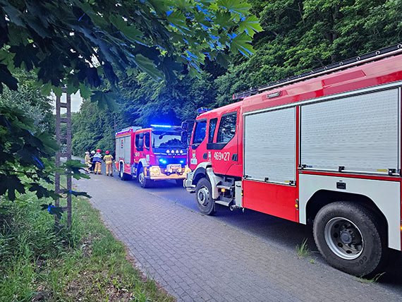 Trwa odkomarzanie w Gminie Midzyzdroje