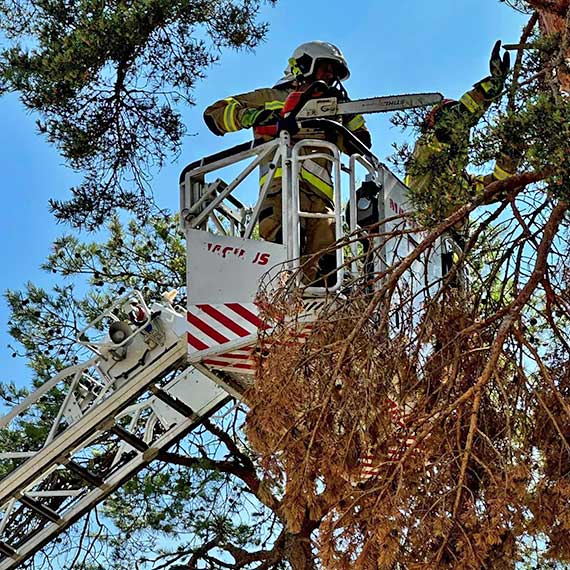 Zamana ga zagraaa bezpieczestwu w Dziwnwku