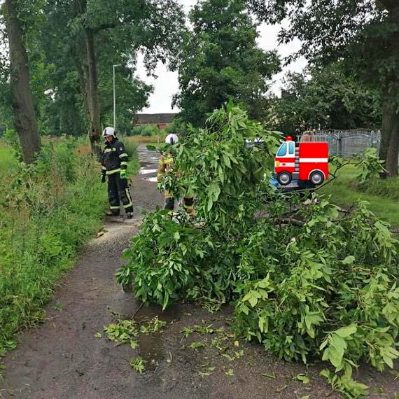 Interwencje OSP Jarszewo: Poar mietnika i powalone drzewa