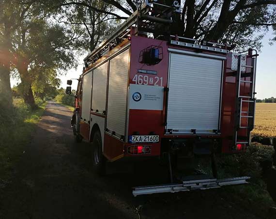 OSP Jarszewo: Akcja usunicia niebezpiecznego drzewa