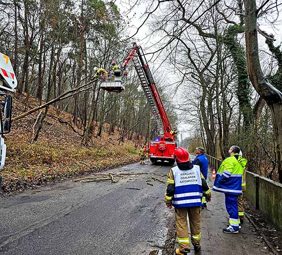 Sprchniae drzewa i stara sie energetyczna – kolejna awaria w Lubinie