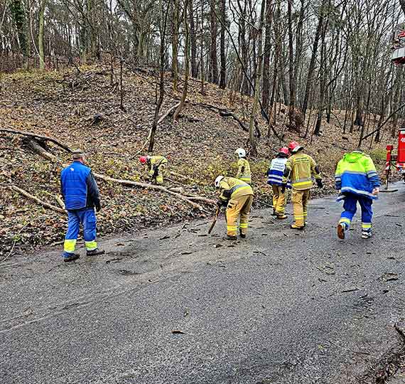 Sprchniae drzewa i stara sie energetyczna – kolejna awaria w Lubinie