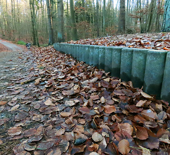 Drewniane zabezpieczenia cieki rowerowej na wydmach nie speniaj swojej funkcji