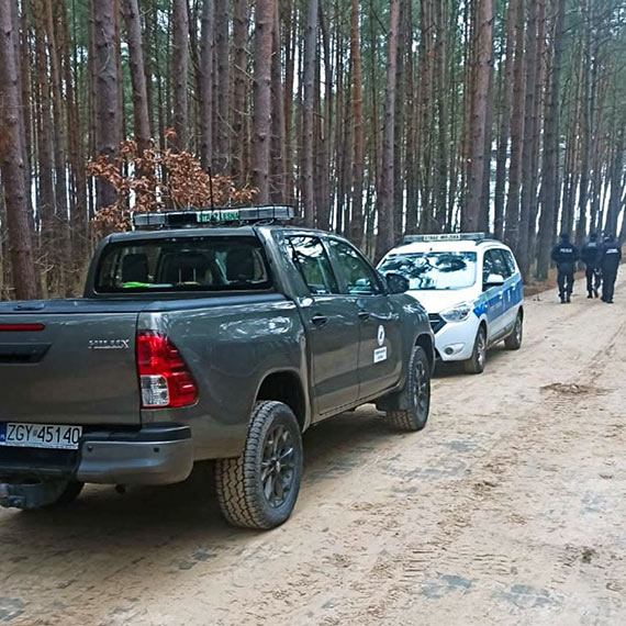 Przedwiteczne dziaania policjantw ze Stra Len. Walka z kradzie gazi i drzew iglastych