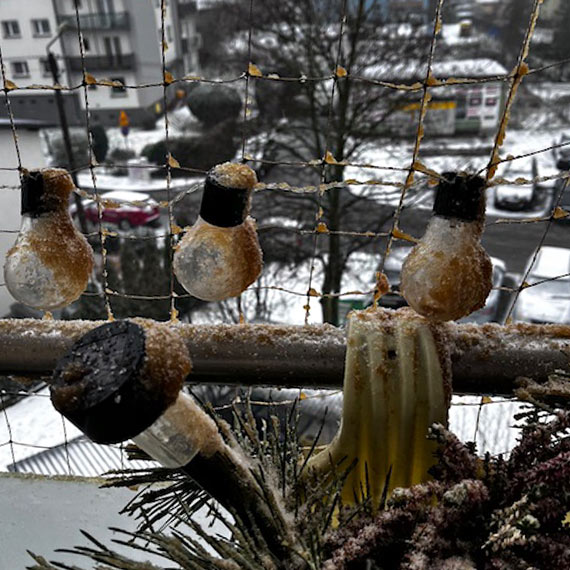 Zaamana mieszkanka prosi o pomoc: ptasie odchody uniemoliwiaj korzystanie z balkonu