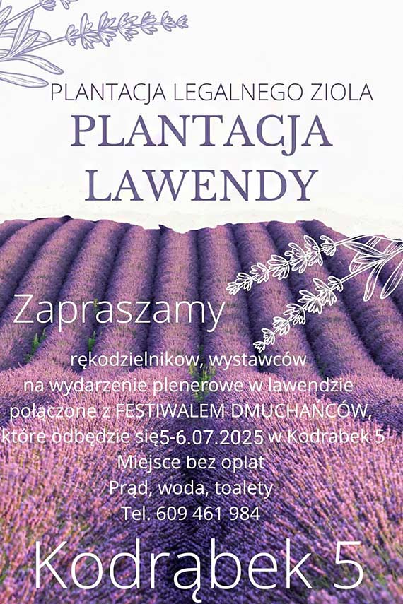 Lawendowe wito w Kodrbku: aromatyczne Dni Lawendy ju w ten weekend
