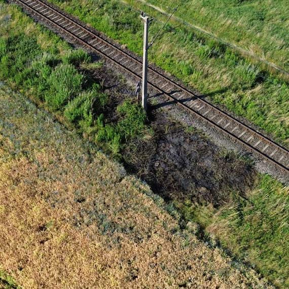 Straacy gasili poar traw przy torach kolejowych w Jarszewie