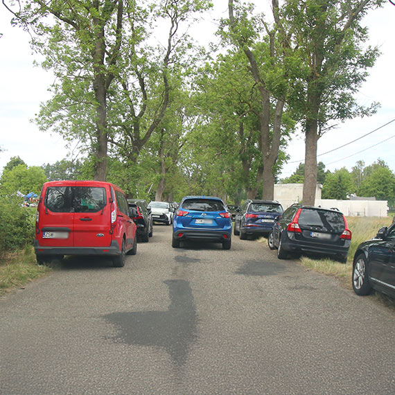 Szał na Lawendowy Dzień! Kodrąbek 5 znów przyciąga tłumy