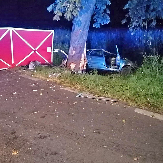 Citron roztrzaskany o drzewo. Kierowca zgin na miejscu