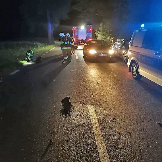 Citron roztrzaskany o drzewo. Kierowca zgin na miejscu