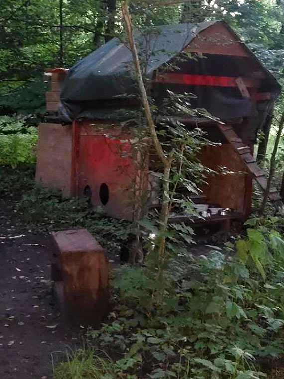 Domek dla kotw w lesie koo Warnowa. Mieszkacy narzekaj na smrd i brak ptakw, Nadlenictwo odpowiada
