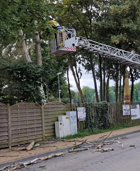 Strażacy usunęli zagrożenie przy ul. Dziwnej w Dziwnowie