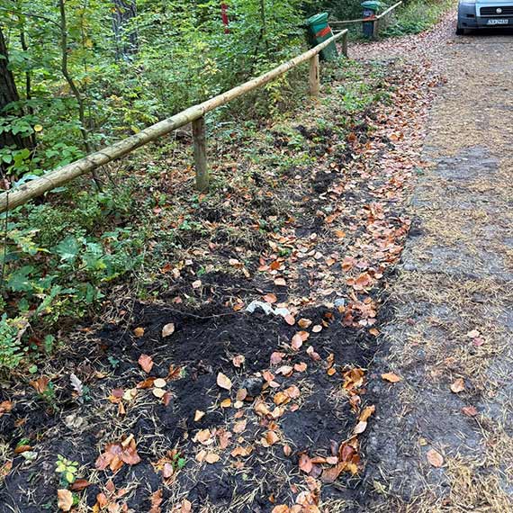 Zaginął Toi-Toi w Lubiewie! Burmistrz: „Chyba kogoś bardzo mocno przycisnęło”