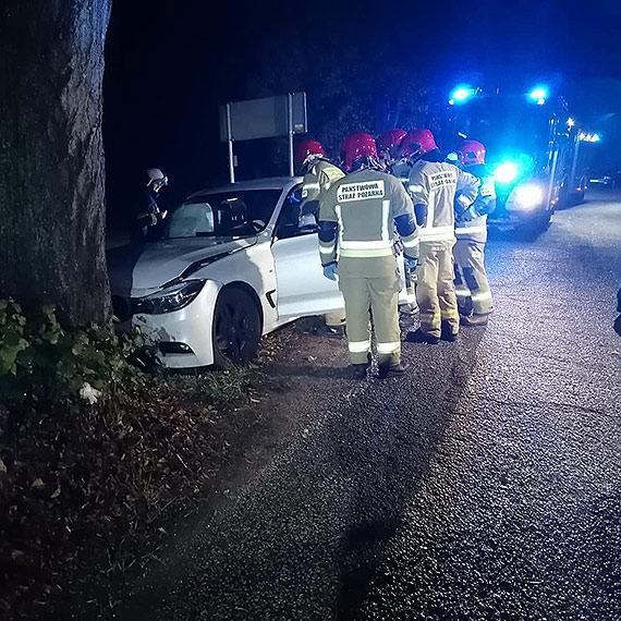 Samochód uderzył w drzewo. Na szczęście nikt nie ucierpiał