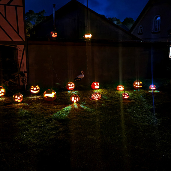 W Wisece ju strasz! Halloweenowe dekoracje rozwietliy ogrd!