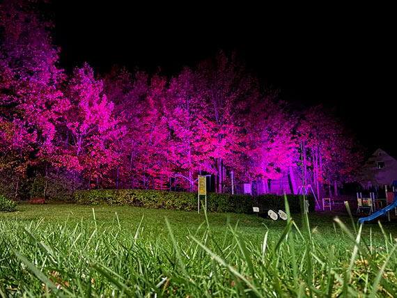 ¦wietlne B³onia w ¦wierznie rozb³ys³y po raz pierwszy!