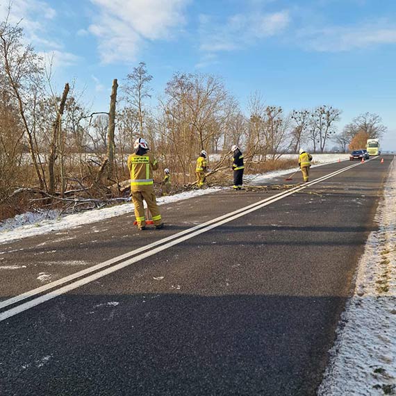 Powalone drzewo zablokowało drogę w Kolonii Kłęby. Interweniowała OSP Golczewo