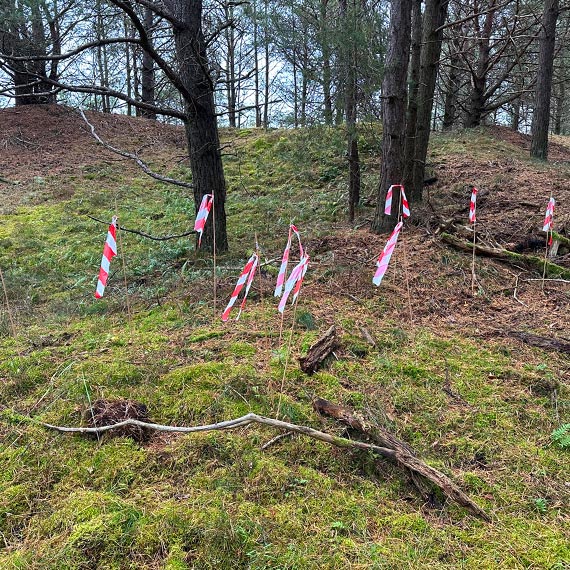 Realne dzia�ania na rzecz ochrony �rodowiska